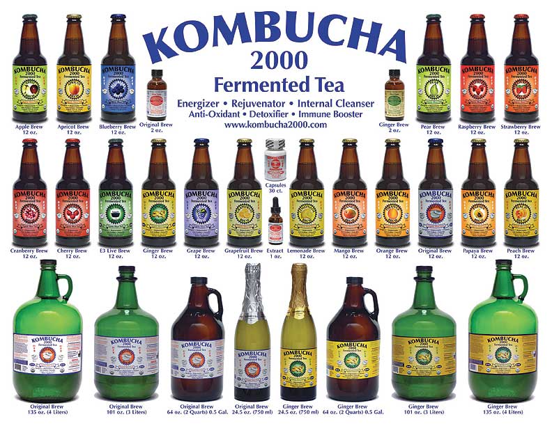 KOMBUCHA TEA & Mushroom, Ear Cones, Instant Energy - call 1-800 ...